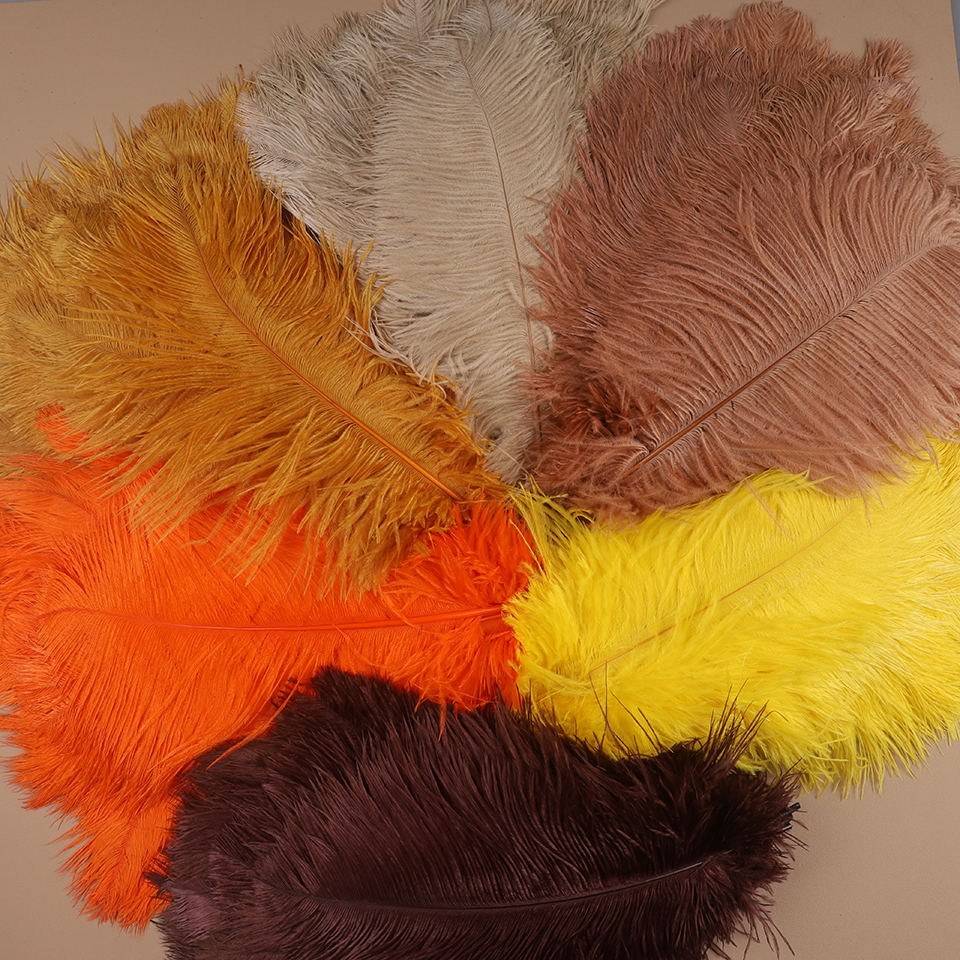 10pcs Ostrich Feathers for Cra - Feather Trim Marabou のレビューと価格