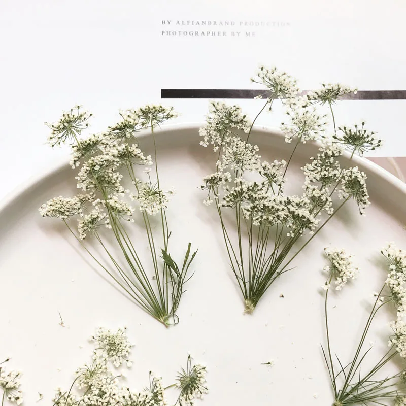 5-7cm/12pcs,Snow Tiny Flowers  - Craft Embellishment のレビューと価格