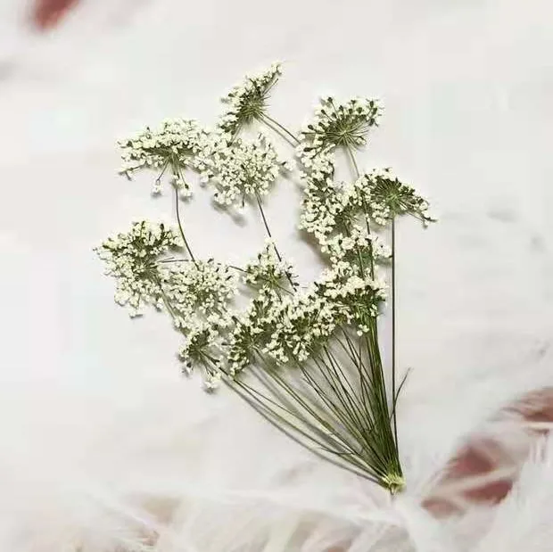 5-7cm/12pcs,Snow Tiny Flowers  - Craft Embellishment のレビューと価格