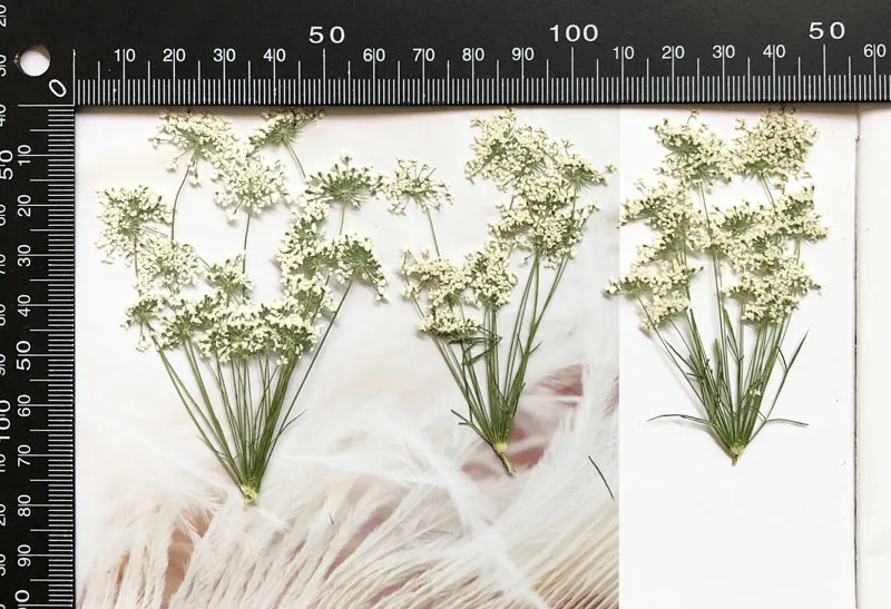 5-7cm/12pcs,Snow Tiny Flowers  - Craft Embellishment のレビューと価格
