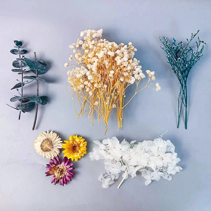 1pack Multifarious Dried Flowe - Embellish Craft のレビューと価格