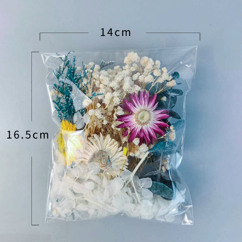 1pack Multifarious Dried Flowe - Embellish Craft のレビューと価格